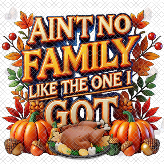 AIN'T NO FAMILY LIKE THE ONE I GOT DTF