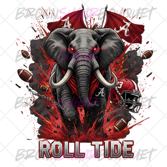 Roll Tide Alabama Football Flags DTF