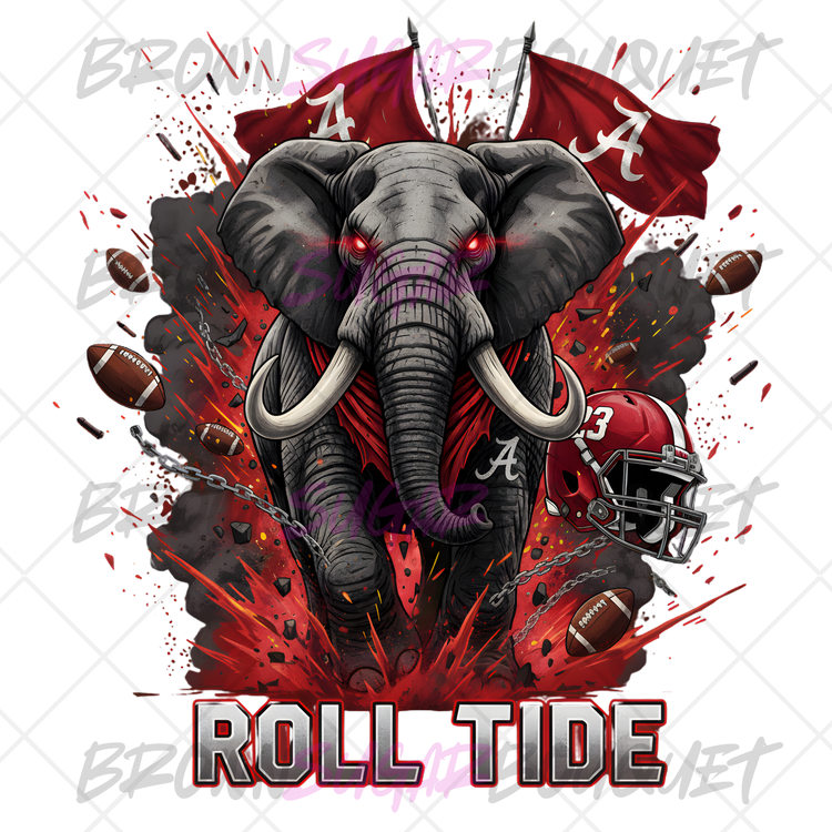 Roll Tide Alabama Football Flags DTF